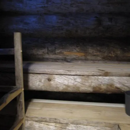 Villa Keisarinrinne - Unique Log For Groups